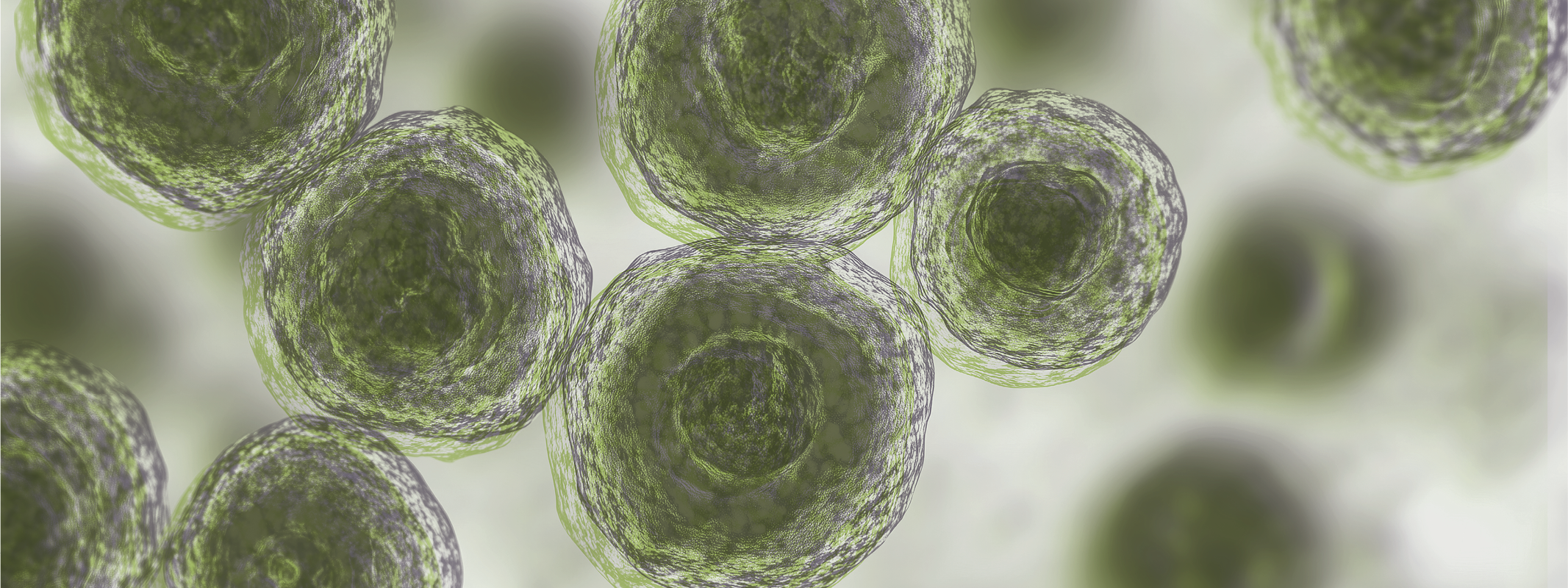 Mast Cell Activation Syndrome