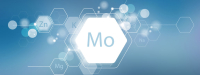 Molybdeen en botmetabolisme