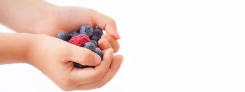 Vitamine C en E en ferulazuur tegen uv en luchtvervuiling