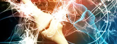 Plantaardig en botgezondheid