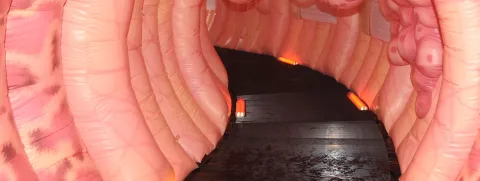 Ontstekingsremmende voeding tegen darmontsteking