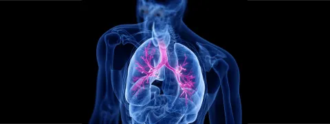 Vitamine D bij cystische fibrose