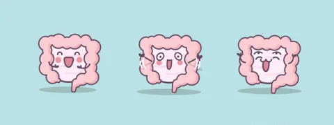 Microbiota vs verouderen