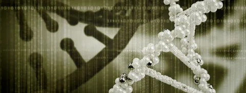 Magnesium beschermt DNA