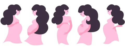 Voedingsstatus bij zwangeren