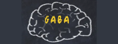 GABA ondersteunt cognitieve functie
