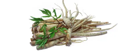 Effect ginseng op cardiometabolisme