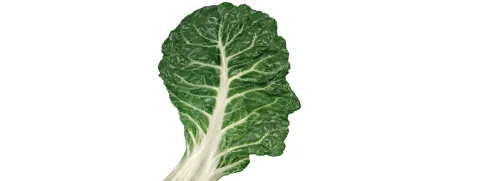 Magnesium beschermt zenuwcellen