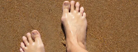 Vitamine C niet vitamine E tegen jicht