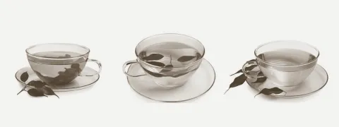 Groene thee tegen lagegraadontsteking