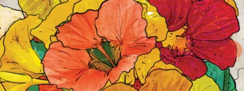 Oost-Indische kers en mierikswortel bij bronchitis