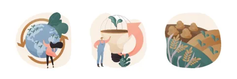 Meer voedingsstoffen in gewassen van regeneratieve landbouw 