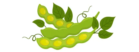 Soja-isoflavonen verlagen (en verhogen) bloeddruk