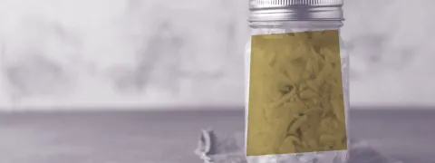 Gepasteuriseerde zuurkool verhoogt korteketenvetzuren