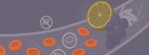 Flavonoïden voor dunner bloed