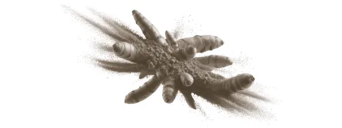 Curcumine-suppletie vermindert levervet bij diabetici