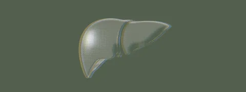 Vitamine E-suppletie gunstig bij leververvettin