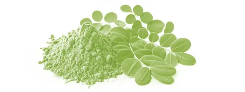 PEA en luteoline tegen dementie