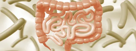 Fytotherapie en het microbioom