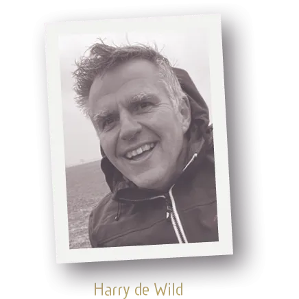 Harry de Wild