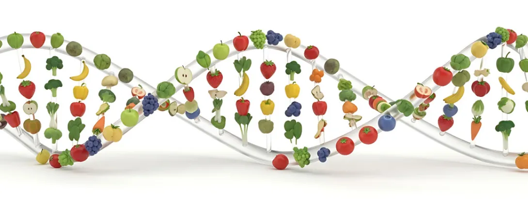 Echte voeding in de voedingsrichtlijnen