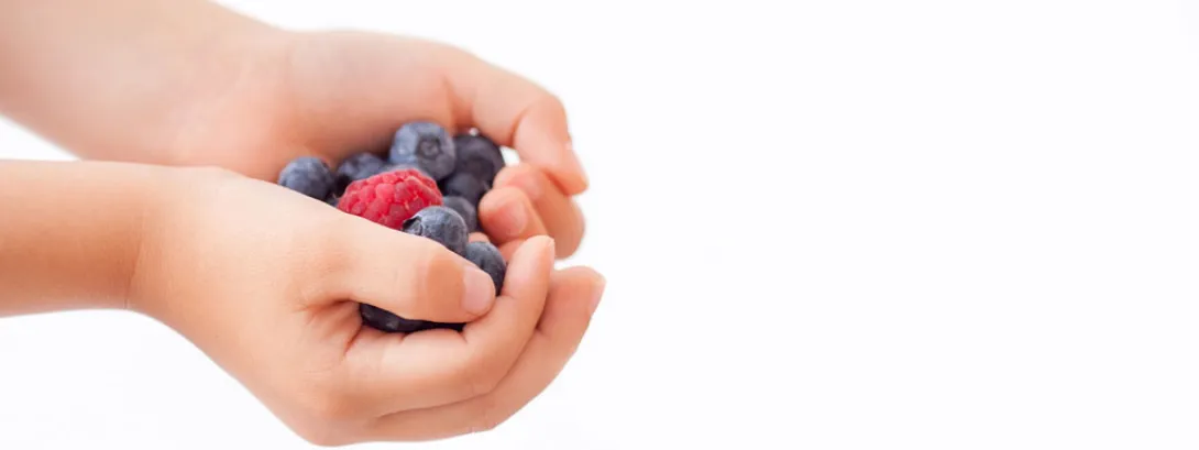 Vitamine C en E en ferulazuur tegen uv en luchtvervuiling