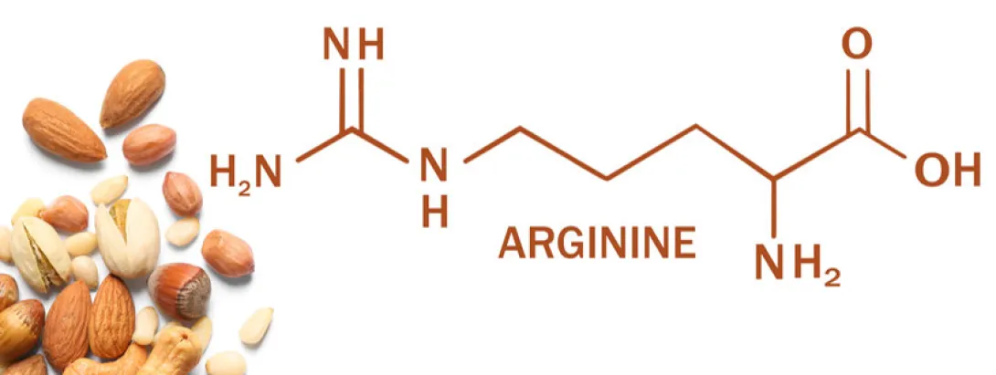Arginine ondersteunt ernstige COVID-19