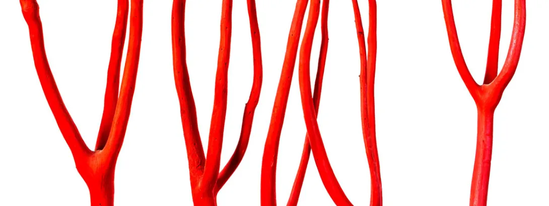 AGE's reduceren met B6