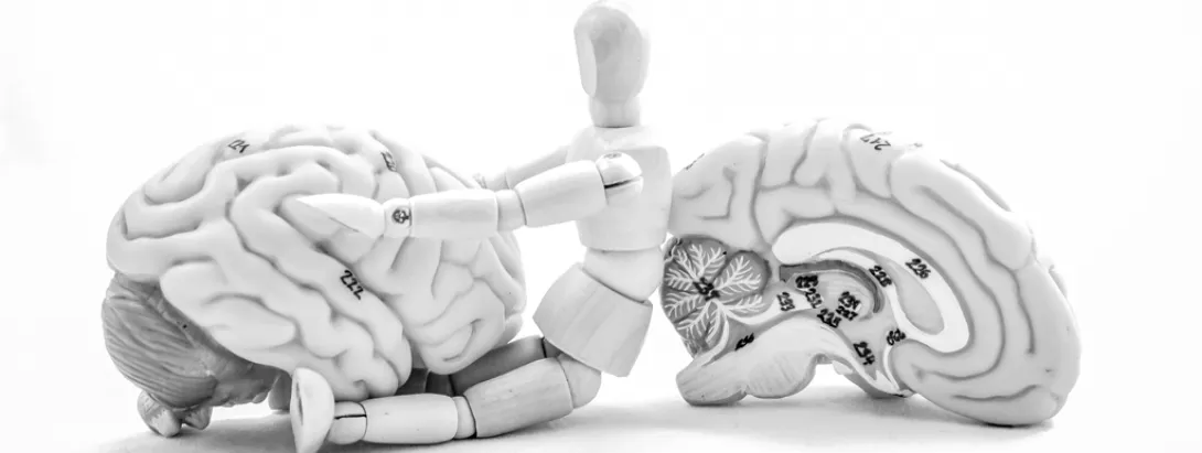 Leefstijlinterventie verbetert cognitie