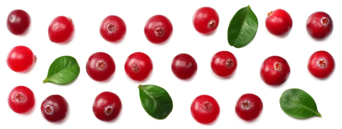 Cranberry afhankelijk van metabool type