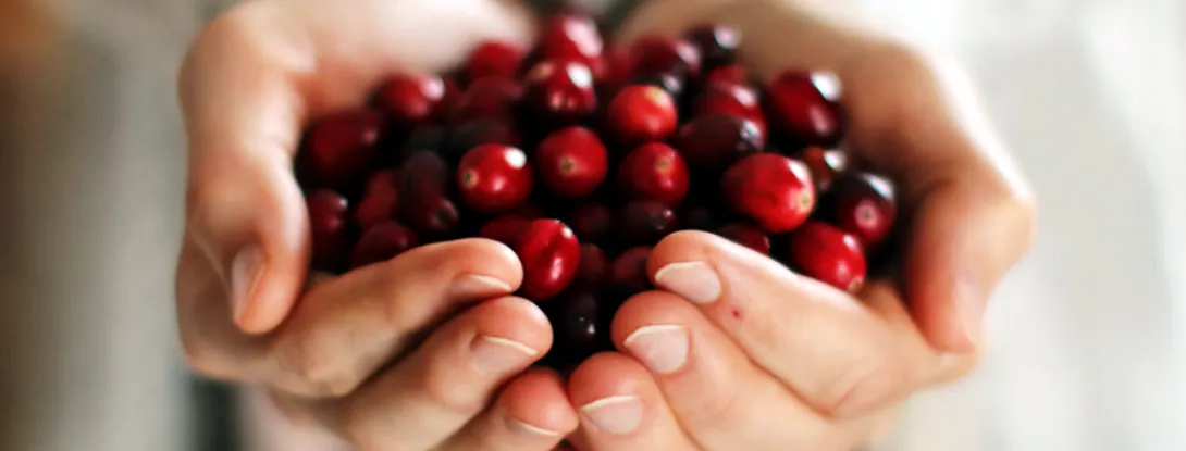 Cranberry tegen urineweginfectie