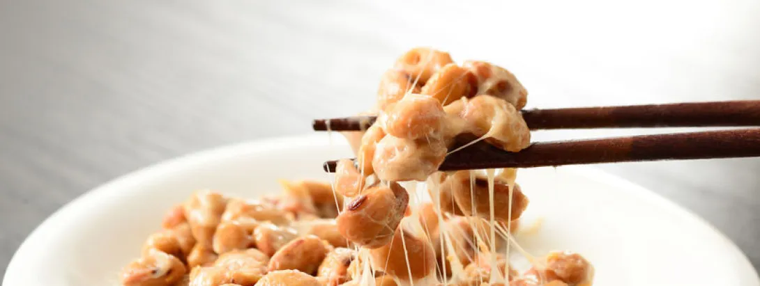 Gefermenteerde soja gezond