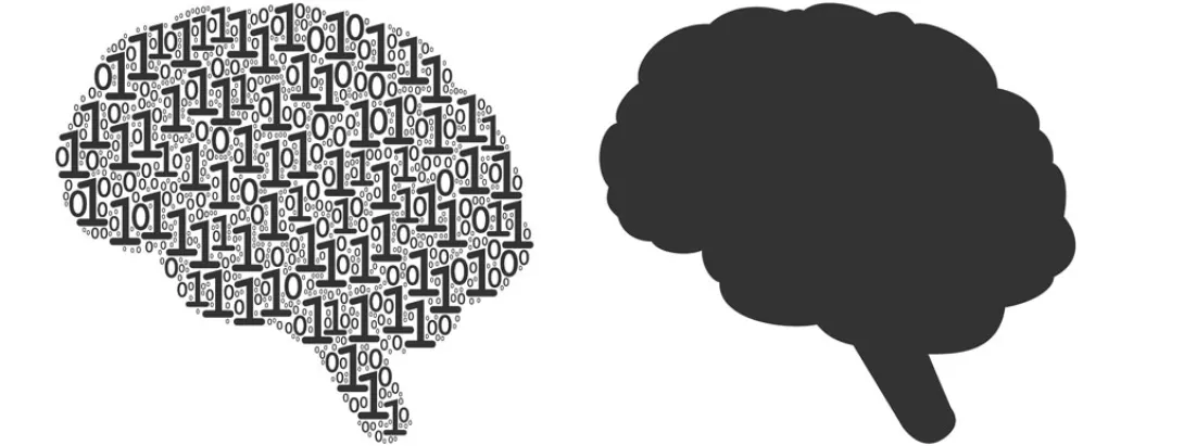 Oplosbare vezel voor het geheugen