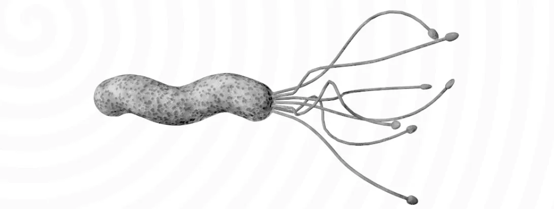 Melatonine tegen maagirritatie