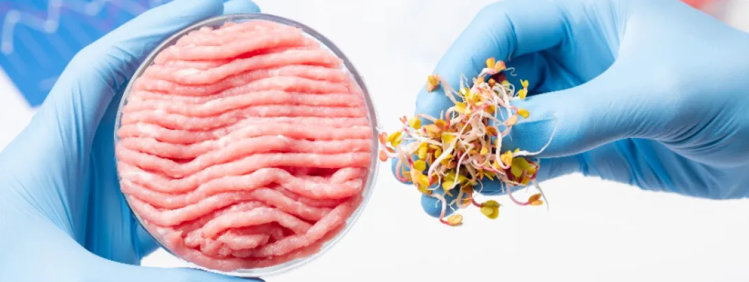 Mineralen uit vleesvervangers