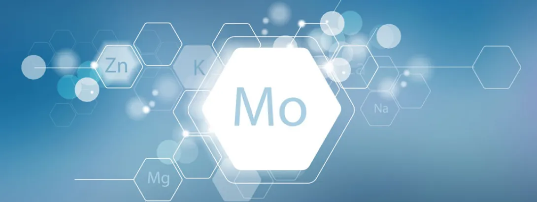 Molybdeen en botmetabolisme
