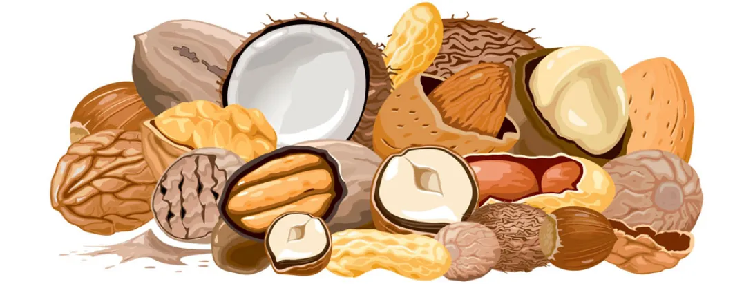 Noten activeren insuline in de hersenen