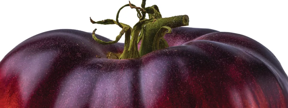 Lycopeen voor gezonder overgewicht en suikerspiegel