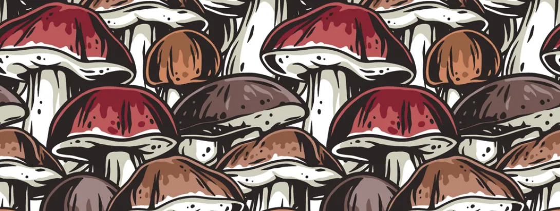 Paddenstoelen verhogen darmafweer