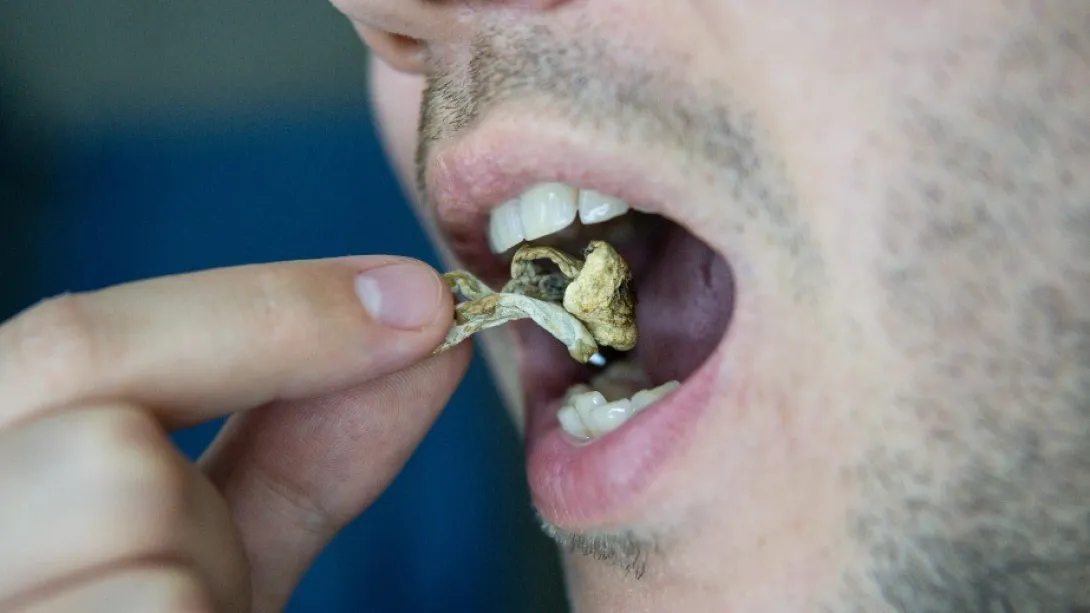 Psilocybine tegen majeure depressie