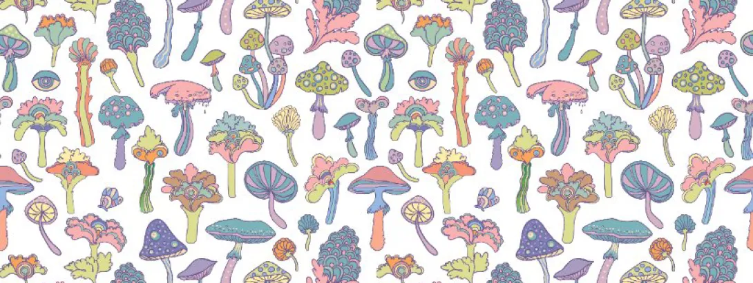 Psilocybine vs alcoholverslaving