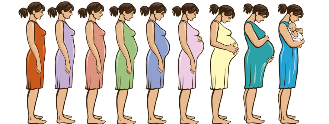 Prebiotica tijdens de zwangerschap