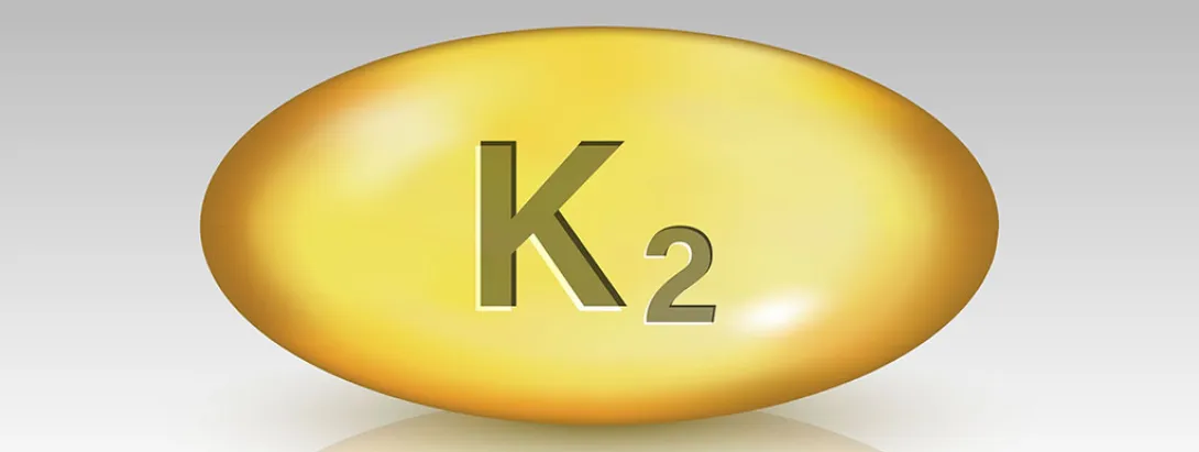 Vitamine K vs darmflora vs diabetes