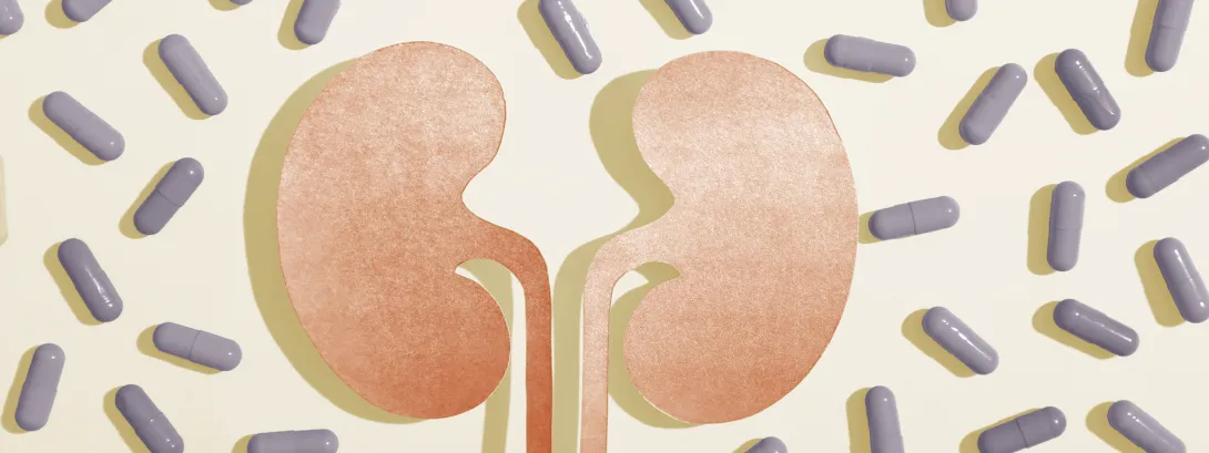 Darmen ontlasten de nieren