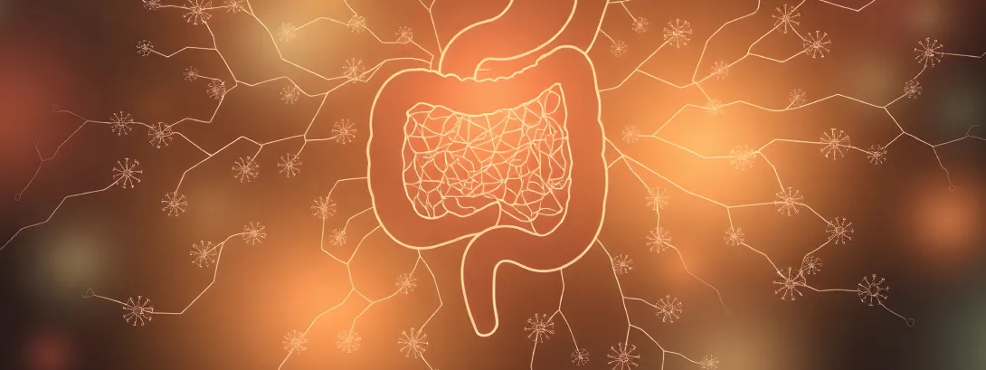 Hoe darmgezondheid meten?